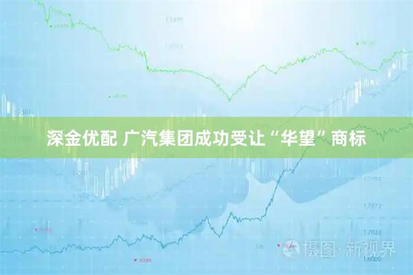 深金优配 广汽集团成功受让“华望”商标
