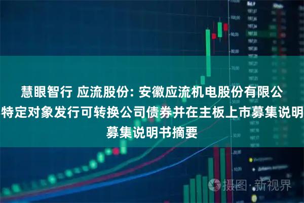 慧眼智行 应流股份: 安徽应流机电股份有限公司向不特定对象发行可转换公司债券并在主板上市募集说明书摘要