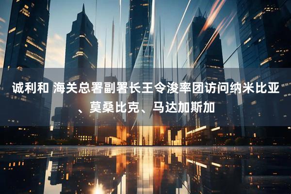 诚利和 海关总署副署长王令浚率团访问纳米比亚、莫桑比克、马达加斯加